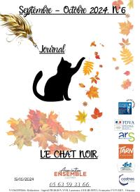 Chat noir 6